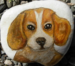 cane-beagle