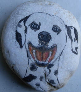 dalmata