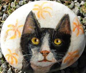 gatto-bianco-nero