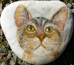 gatto-dolce
