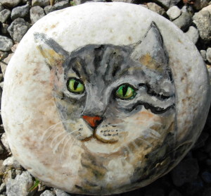 gatto-grigio-2
